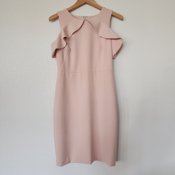 Elegant Pink Ruffle Dress - Picture 1 of 5